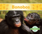 Bonobos (Animal Friends)