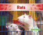 Rats (Animal Friends)