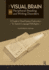 The Visual Brain and Peripheral Reading and Writing Disorders: A Guide to Visual System Dysfunction for Speech-Language Pathologists