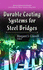 Durable Coating Systems for Steel Bridges (Transportation Infrastructure-Roads, Highways, Bridges, Airports and Mass Transit)