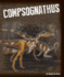 Compsognathus (Exploring Dinosaurs)