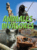 Animales Invasores (Let's Explore Science) (Spanish Edition)