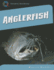 Anglerfish (21st Century Skills Library: Exploring Our Oceans)