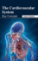 The Cardiovascular System: Key Concepts