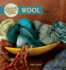 The Practical Spinner's Guide-Wool