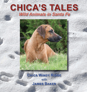 Chica's Tales: Wild Animals in Santa Fe