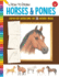 How to Draw Horses & Ponies: Step-By-Step Instructions for 20 Different Breeds (Learn to Draw)
