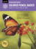 Drawing: Colored Pencil Basics: Learn to Draw Step By Step (How to Draw & Paint)