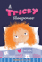 Rourke Educational Media Tricky Sleepover Chapter Book (Rourke's Beginning Chapter Books)