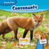 Consonants (Sound It Out (Look! Books? ))