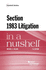 Section 1983 Litigation in a Nutshell