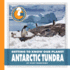 Antarctic Tundra (Community Connections: Getting to Know Our Planet)