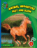 Fast and Slow (21st Century Basic Skills Library: Level 1: Animal Opposites)