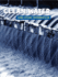Clean Water (21st Century Skills Library: Global Citizens: Environmentalism)
