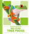 Red-Eyed Tree Frogs (Rain Forest Animals)