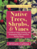Native Trees, Shrubs, and Vines: a Guide to Using, Growing, and Propagating North American Woody Plants (Latest Edition)