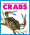 Crabs (Pogo Books: the World of Ocean Animals)