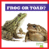 Frog Or Toad? (Bullfrog Books: Spot the Differences)