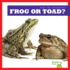 Frog Or Toad? (Bullfrog Books: Spot the Differences)