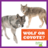 Wolf Or Coyote? (Bullfrog Books: Spot the Differences)