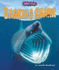 Basking Shark (Shark Shock! )