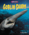 Goblin Shark (Shark Shock! )