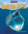 Basking Shark (Shark Shock! )
