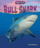 Bull Shark (Shark Shock! )