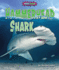 Hammerhead Shark (Shark Shock! )