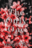 The Only One