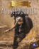 Aussiedoodles (Top Doodle Dog Breeds)