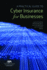 A Practical Guide to Cyber Insurance for Businesses