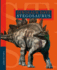 Stegosaurus (Dinosaur Days)