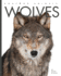 Wolves (Amazing Animals)