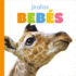 Jirafas Beb�s/ Baby Giraffes (El Principio De Los/ Starting Out) (Spanish Edition)