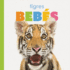 Tigres Beb�s/ Baby Tigers (El Principio De Los/ Starting Out) (Spanish Edition)