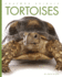 Tortoises (Seedlings)