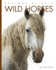 Wild Horses (Amazing Animals)