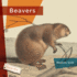 Beavers (Living Wild)