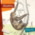 Sloths
