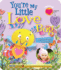You'Re My Little Love Bug (Parent Love Letters)