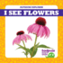 I See Flowers (Tadpole Board Books: Outdoor Explorer)