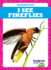 I See Fireflies (Tadpole Books: Backyard Bugs)