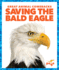 Saving the Bald Eagle (Pogo, Great Animal Comebacks)