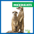 Meerkats (Bullfrog Books, My First Animal Library)