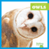 Owls (Bullfrog Books: Raptor World)