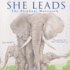 She Leads: the Elephant Matriarch