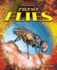 Filthy Flies (Bugged Out! the World's Most Dangerous Bugs)