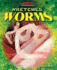 Wretched Worms (Bugged Out! the World's Most Dangerous Bugs)