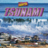 Tsunami (It's a Disaster! )